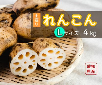 【家庭用】れんこんＬ（約４kg）
