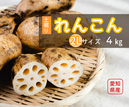 【家庭用】れんこん２Ｌ（約４kg）