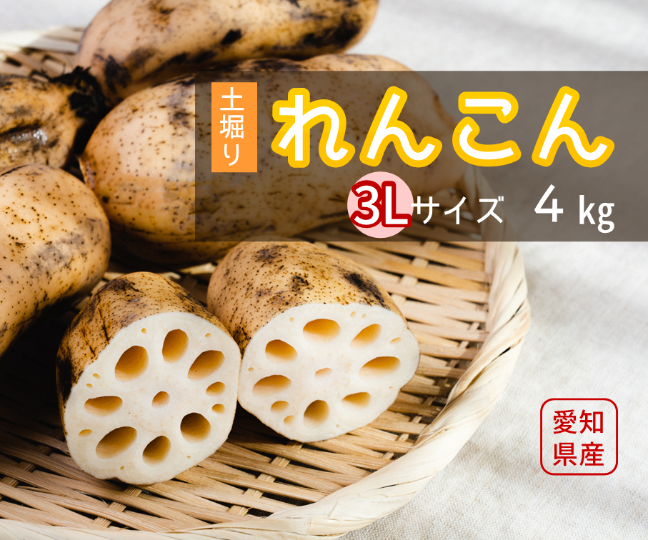 【特選】れんこん３Ｌ(4kg)