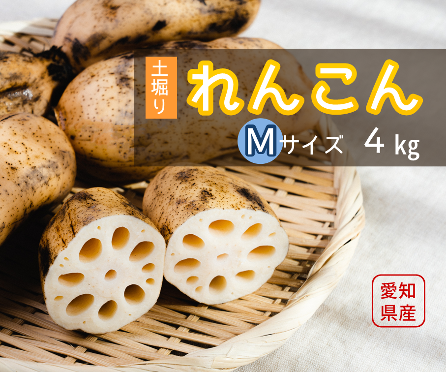【家庭用】れんこんM（約４kg）