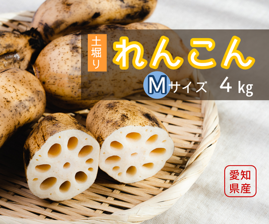 【家庭用】れんこんM（約４kg）