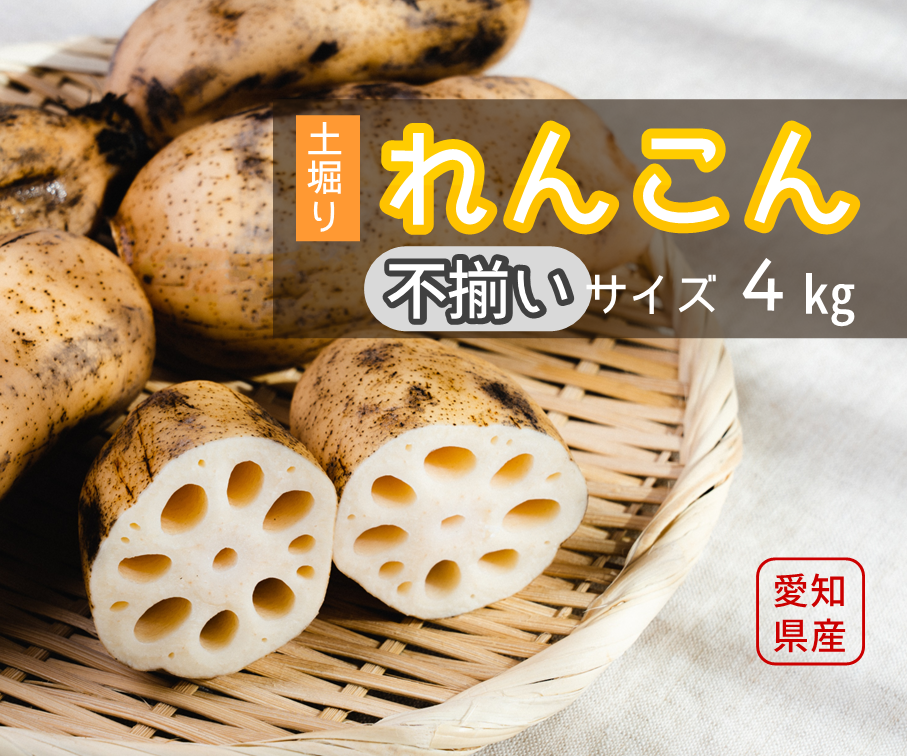【お得】れんこん不揃いパック（約４kg）