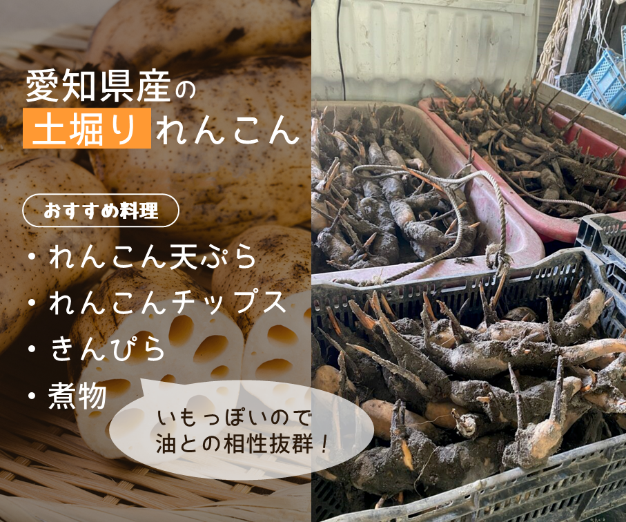 【家庭用】れんこん２Ｌ（約４kg）