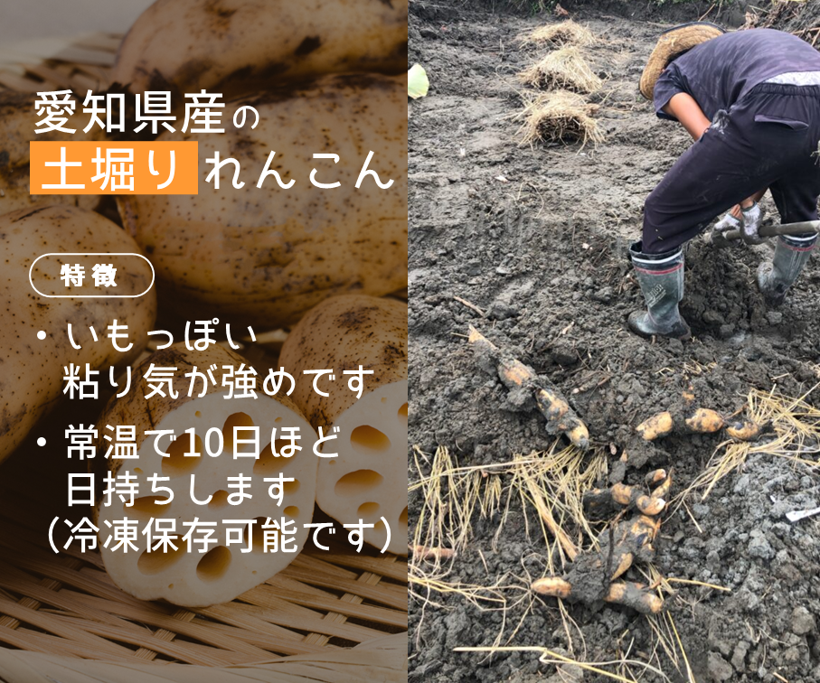 【特選】れんこん３Ｌ(4kg)